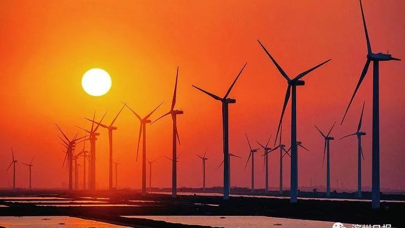 工商业储能定制：规避五大风险，保障项目稳定运行